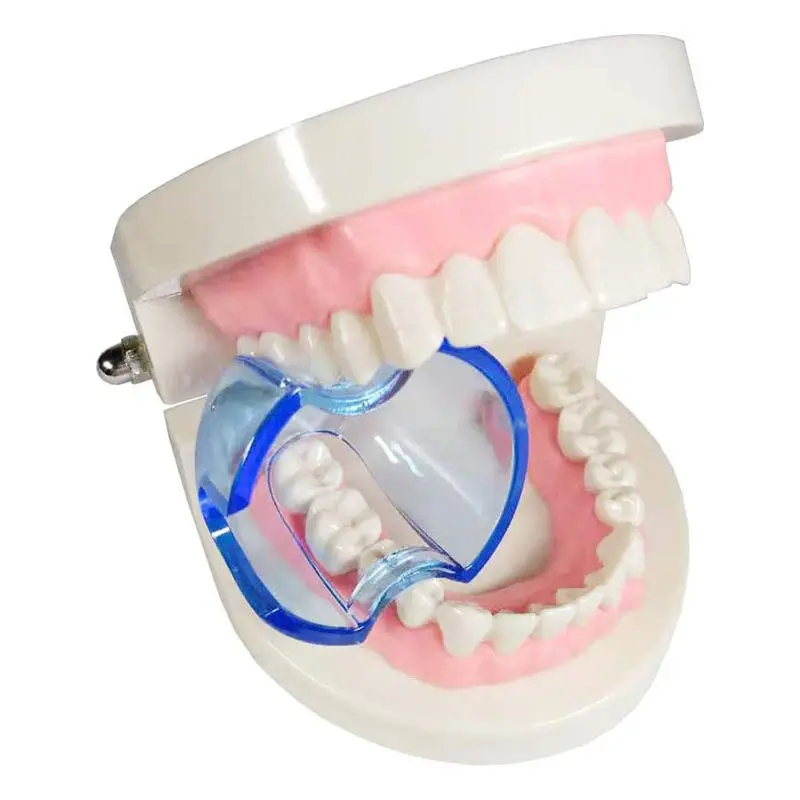 Dental ortodontyczny zwijacz policzków do ust Expander otwieracz do ust w autoklawie do tylnych zębów