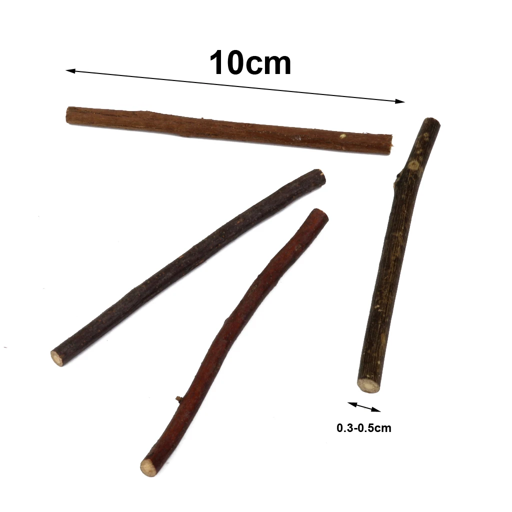 

100x Natural Boxwood Tree Branch Wooden Sticks for DIY craft Decoration