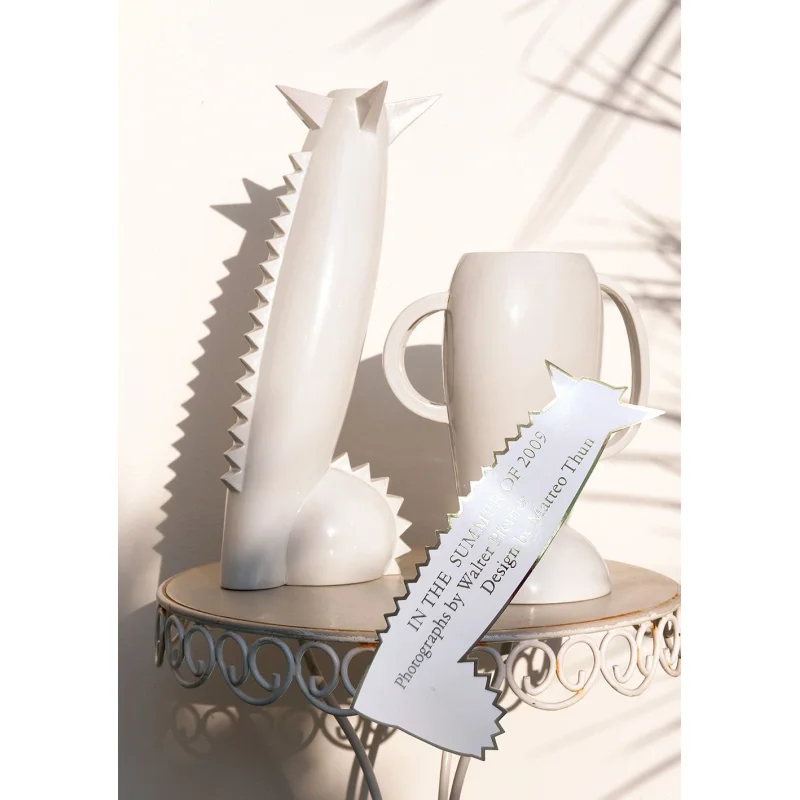 

In The Summer Of 2009 Walter PfeifferMatteo Thun Scheidegger Spiess 9783039421374 Book