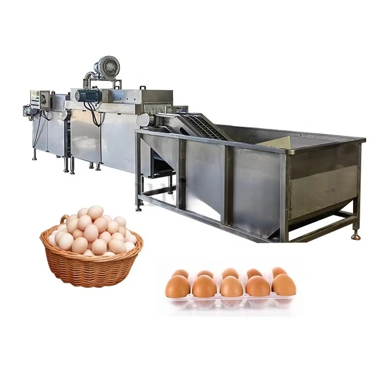 Customized High Efficiency Egg Washing and Drying Machine / Wash Duck Eggs Machine / Chicken Egg Washing Machine