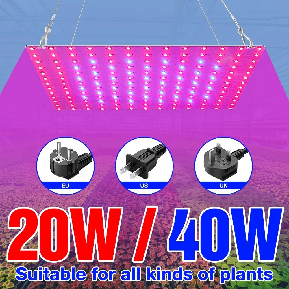 

Growth LED quantum plate planting light Full spectrum LED plant light LED growth light 20W 40W plant light Indoor greenhouse