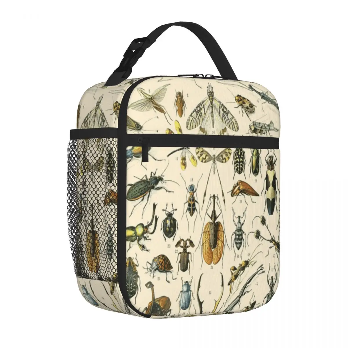 Bestselling Insects Vintage Bug Chart Soft Touch Neoprene Lunch Bag Nursery Food Travel Lunch Bag