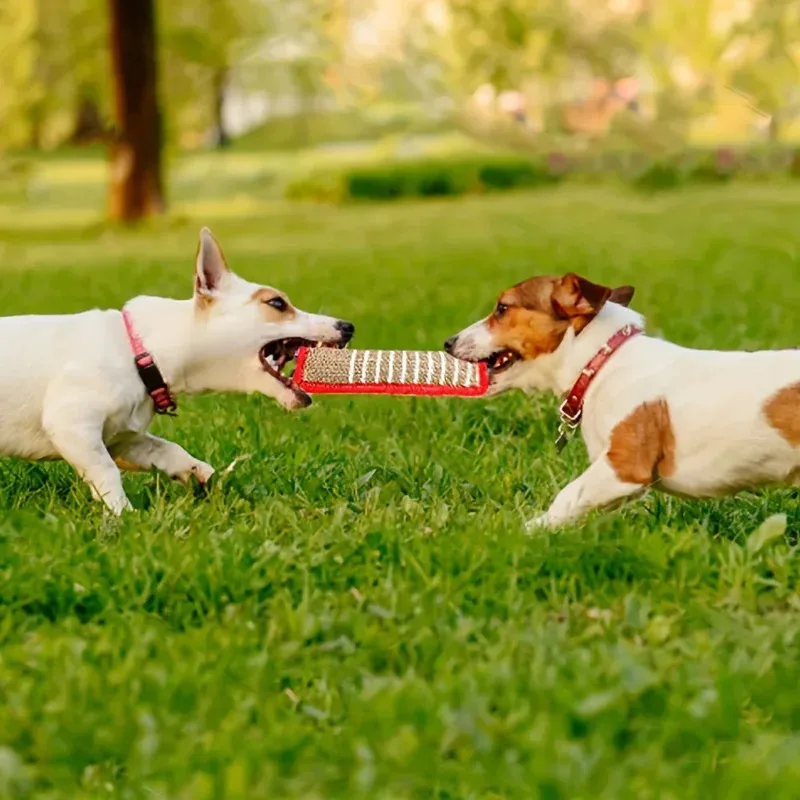 

Natural Jute Dog Chew Toy for Puppies and Adult Dogs 1 Pack Durable Bite Resistant Teething Stick Pet Dental Health Care Toys
