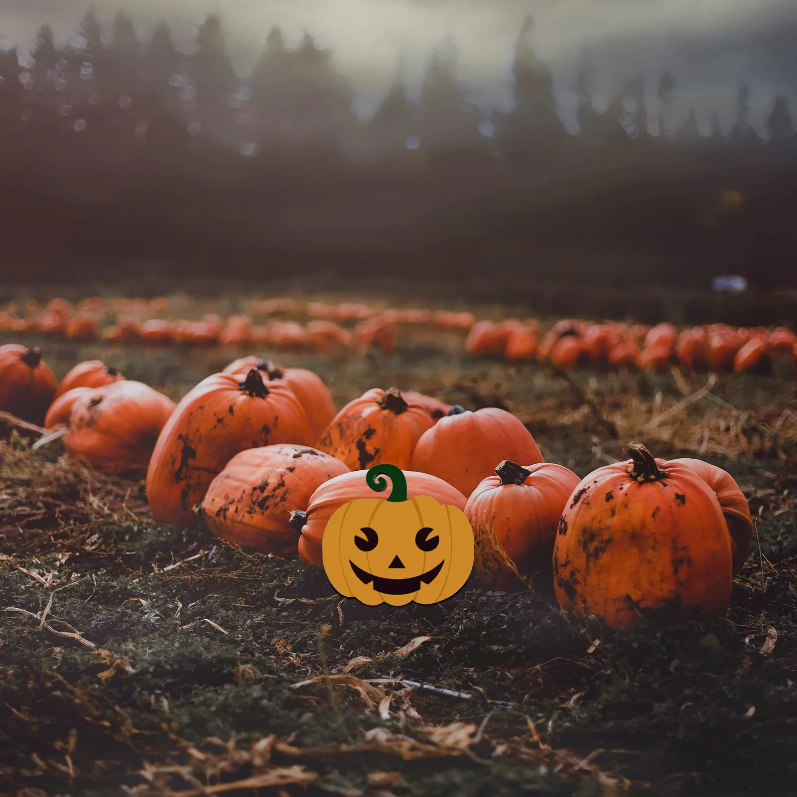 

1 set White Embryo Pumpkin Wood Boards Halloween Diy Decorations Natural Wooden Crafts For Party Supplies Gifts