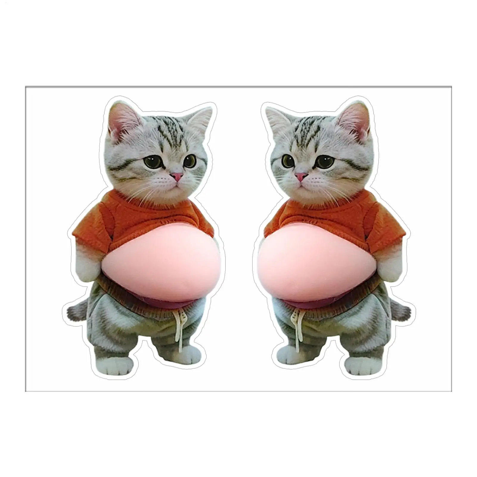 3D Stickers for Kids Cat Squeeze Belly Phone Case Decoration Cartoon Stickers for Adults Kids Teens Computer Laptops Planner
