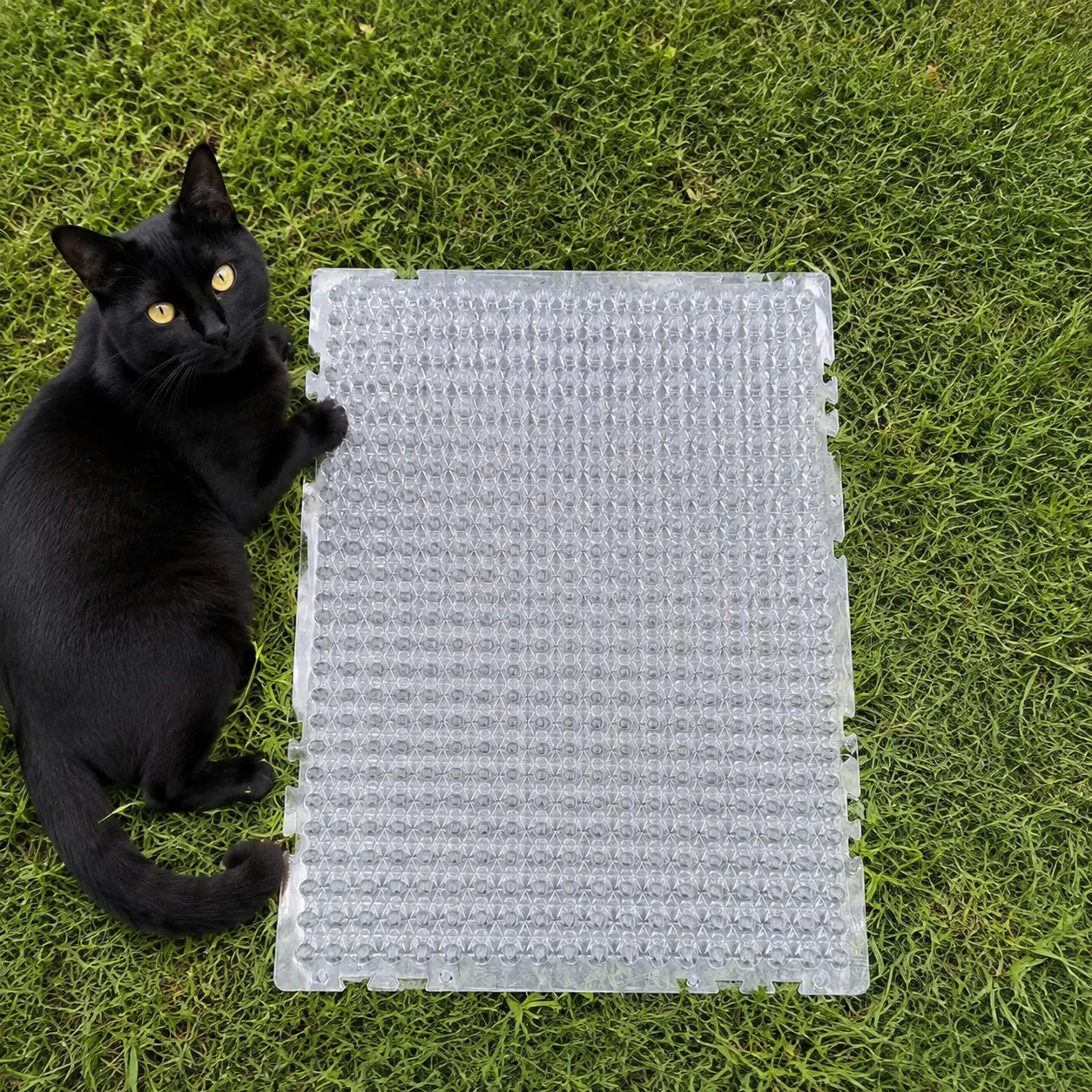 4/8pc Cat-Repellent Floor Mat - Dog and Cat Sofa Protector Pad