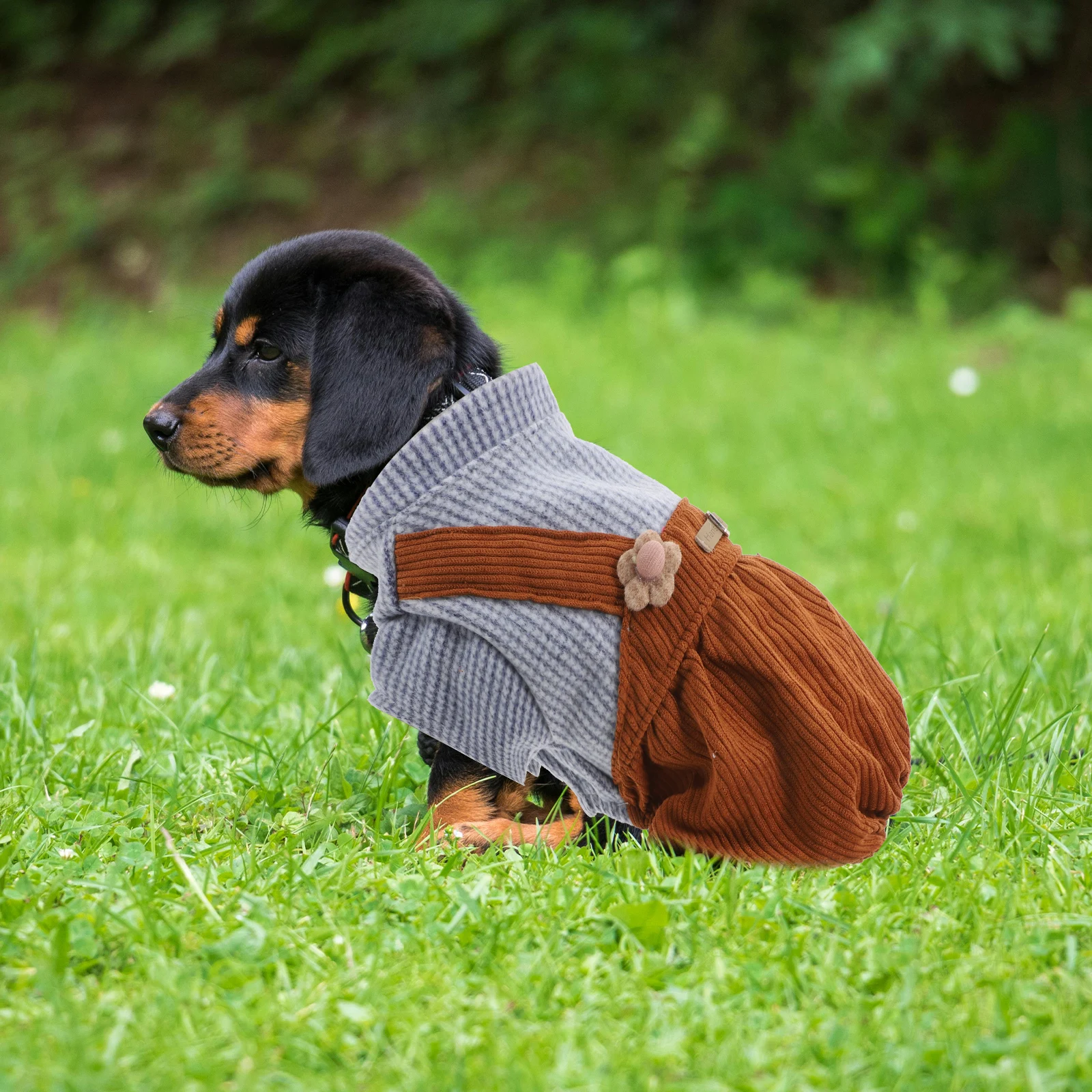 

Pet Dog Clothes Warm Outfits Coat Party Overalls Coveralls Costume Jacket Striped Dog Wear Fashion Design Adorable