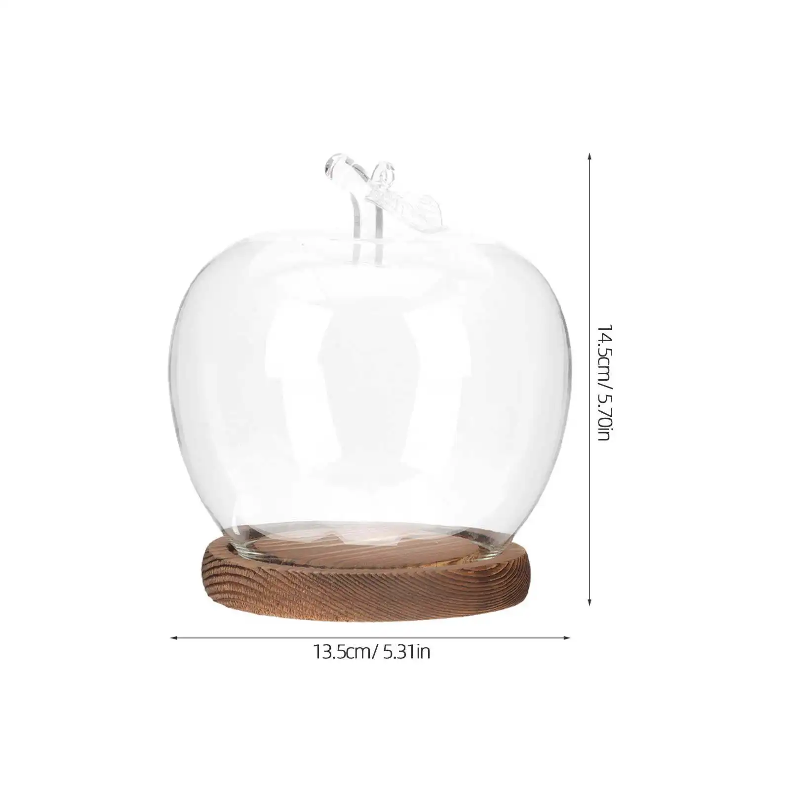 Preserved Flower Glass Cover Transparent Shape Protective Display Dome Base Romantic Creative Eternal Flower Decoration