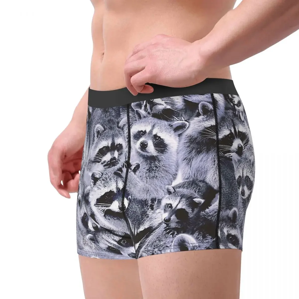 Raccoons Animal Meme Underpants Homme Panties Male Underwear Ventilate Shorts Boxer Briefs