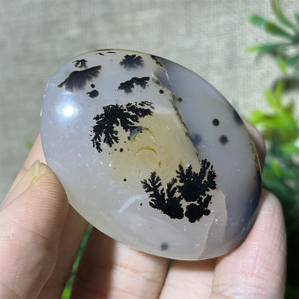 Natural Tree Branch Agate Ink Moss Crystal Palm Stone Quartz Reiki Decoration High Quality Beauty Healing Minerals