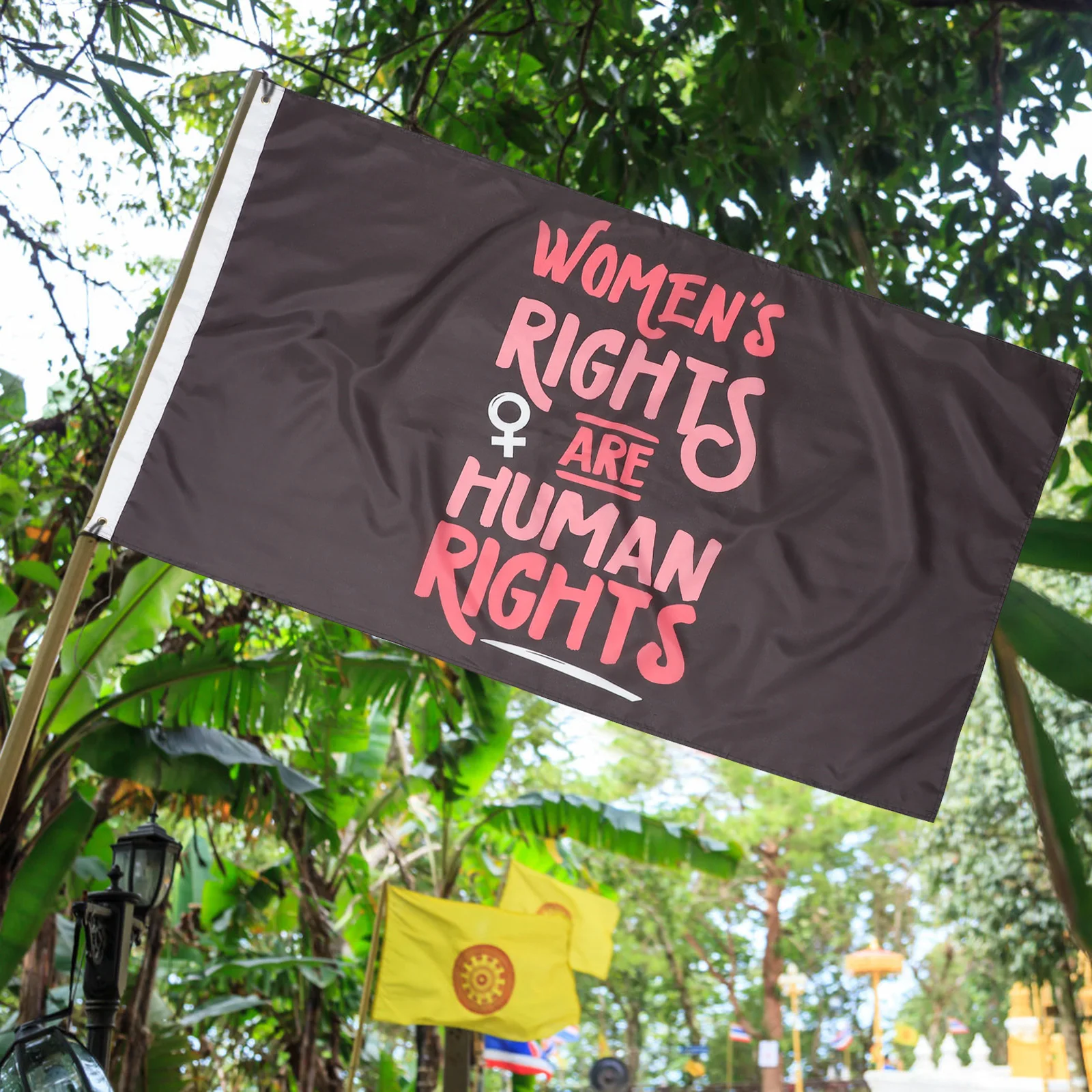 المرأة هي حقوق الإنسان العلم النسوية في الهواء الطلق حديقة راية ساحة ديكور حقوق الإجهاض اختياري الحرية الإنجابية
