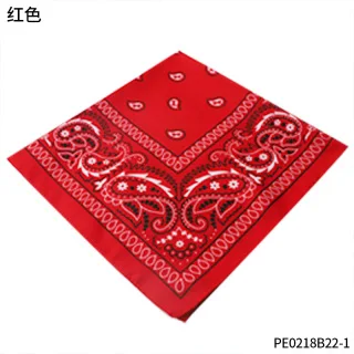 PESENAR Sombreros y pañuelos de vaquero occidental para niños y niñas, sombreros de vaquero para accesorios de disfraces de Halloween