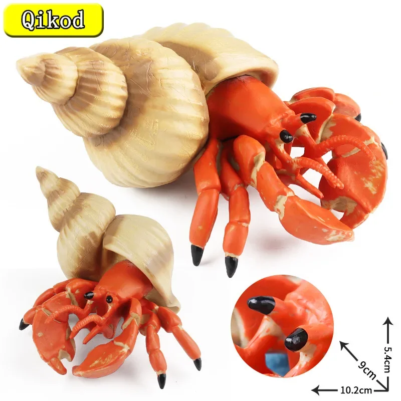 Simulated Hermit Crab toys marine animal models underwater plastic Crabs Cognitive gifts for boys and girls children's Gifts