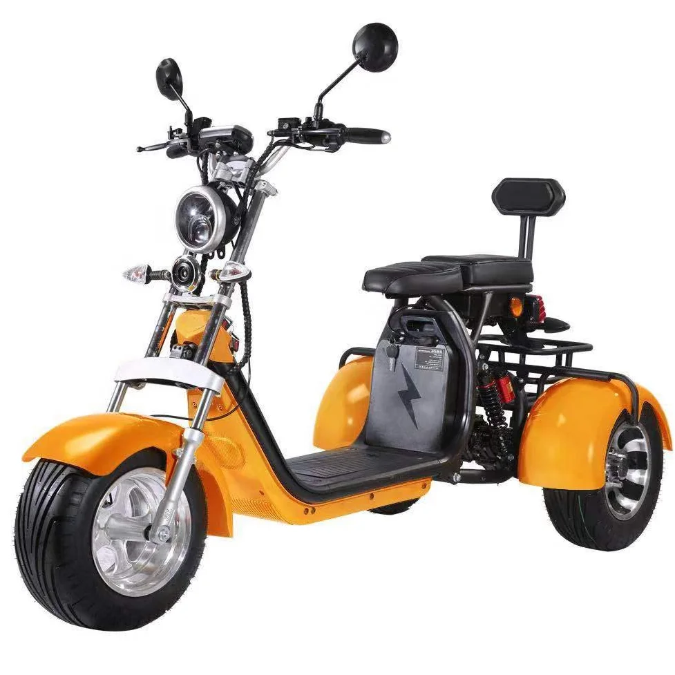 Hot Sell Electric Tricycle In Electric Scooters 3 Wheel EEC Electric Tricycles 2000W Double Battery Citycoco Adults