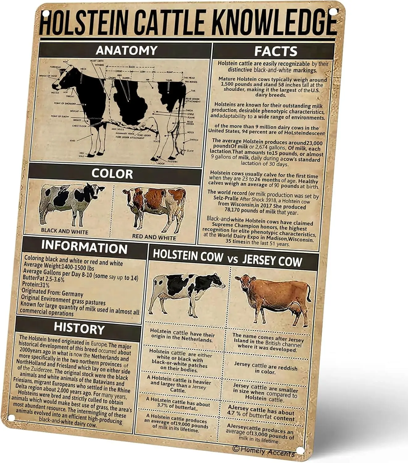 Affiche éducative sur les vaches Holstein de Homely Accents, idéale pour la salle de classe, le club, la maison, la décoration de chambre d'enfant, cadeau pour les amoureux des animaux