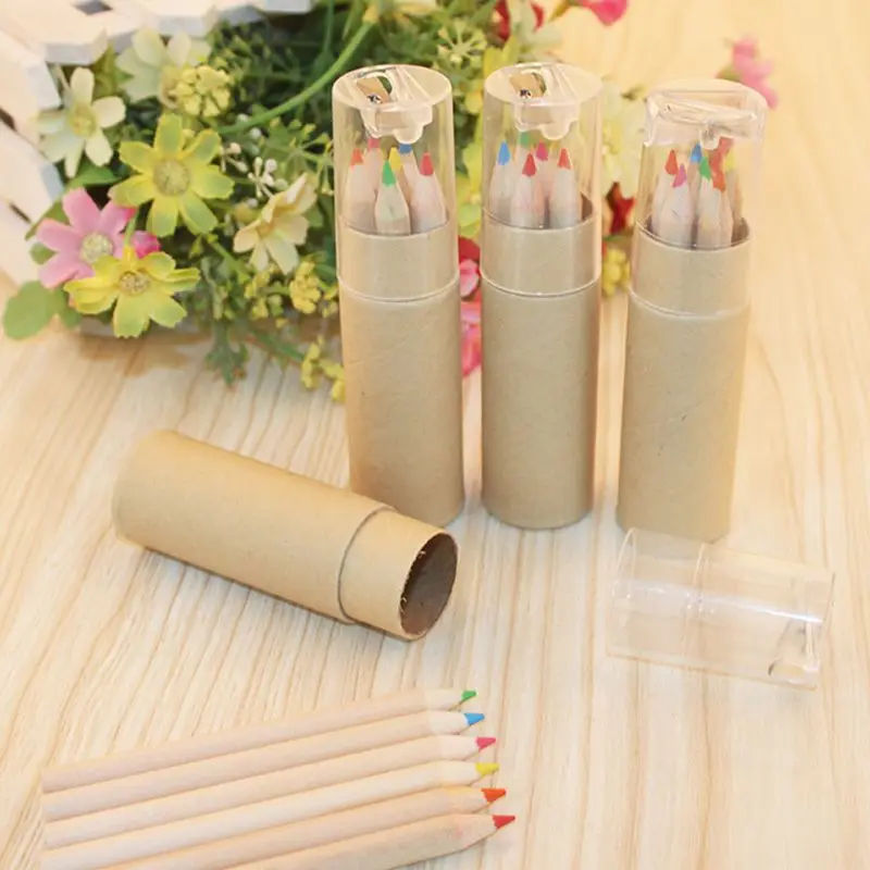 6 Paint Colored Pencils,Pre- Sharpened,HB Core Wooden Colored Pencils With Sharpener For Drawing Art,Sketching,Shading lapis de
