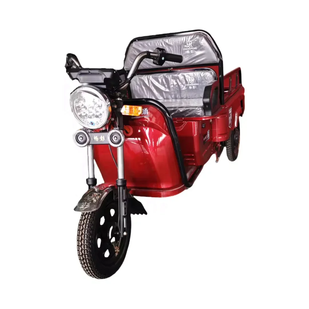 

Promotion Thrthree Wheeleelectric Tricycletricycle Eec Approved Tricycle Electric 48V Cargo Closed Electric Bicycle 2 People
