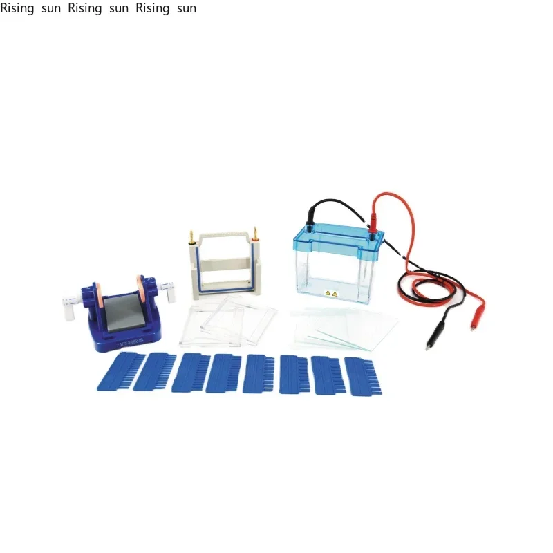 

2025 XYCZ 24DN Professional laboratory use Protein Electrophoresis Cell