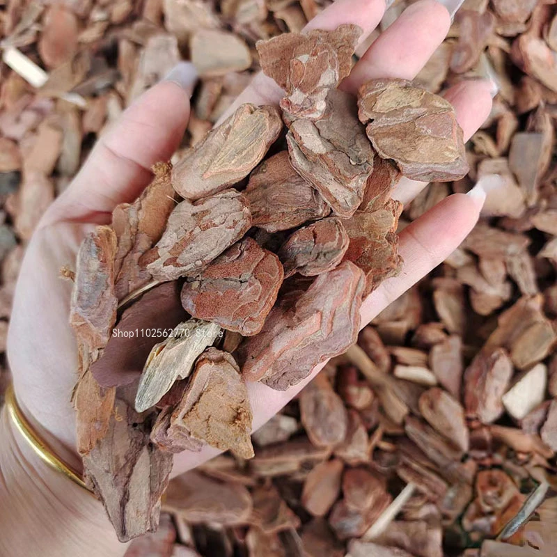 1kg 3-5cm Pine Scale Polished Pine Bark Organic Cover Natural Plant Materials Garden Landscaping Landscape Pavement Decoration