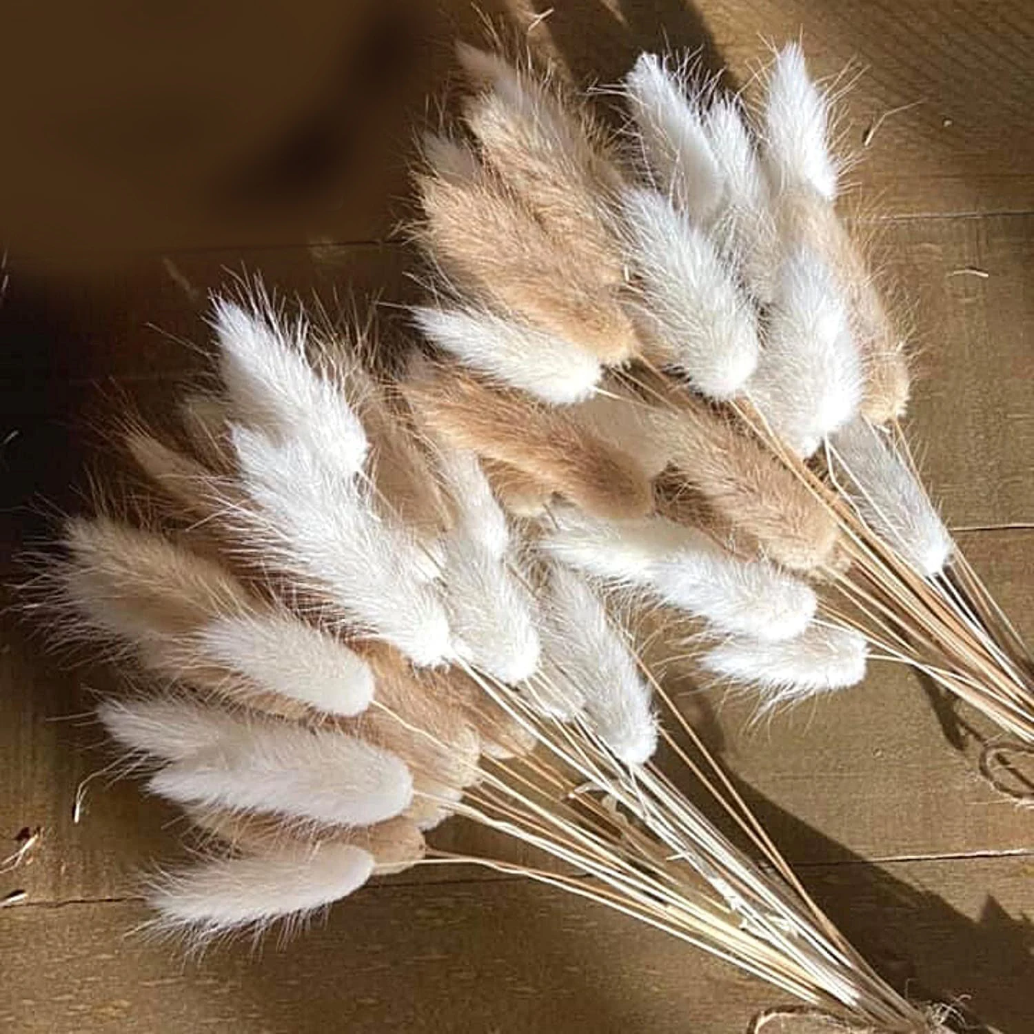 

50Pcs Mix Lagurus Bunny Tails Pampas Grass Decor Home Cake Decor Rabbit Tails Dried Flowers Bouquet for Boho Table Decoration