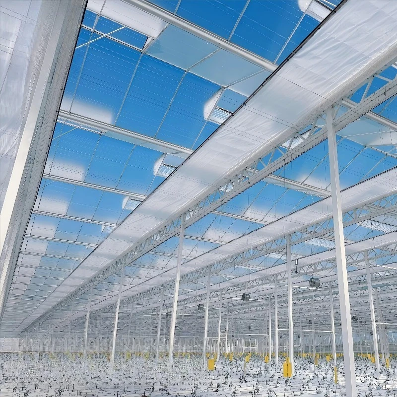 إطار فولاذي كبير للتدفيئة التجارية من Venlo، هيكل زجاجي زراعي عالي المتانة، زهور الفاكهة والخضروات #2