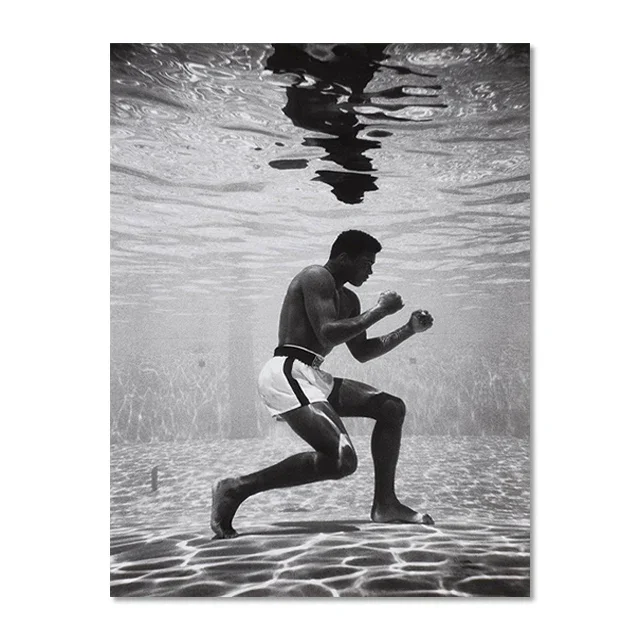 World Boxing Champi…