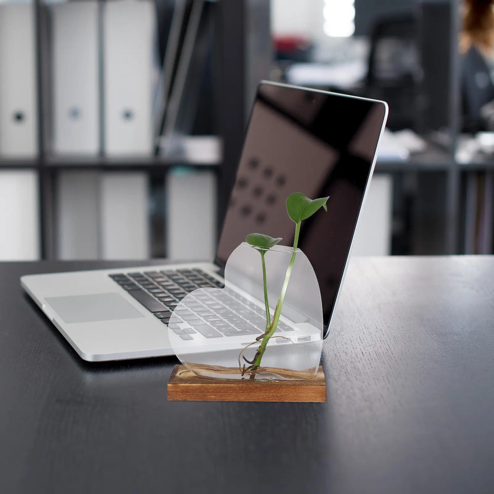 Small Hydroponic Propagation Vase Heart Glass Design with Natural Wooden Stand for Desk Shelf Windowsill Home Decor Terrarium