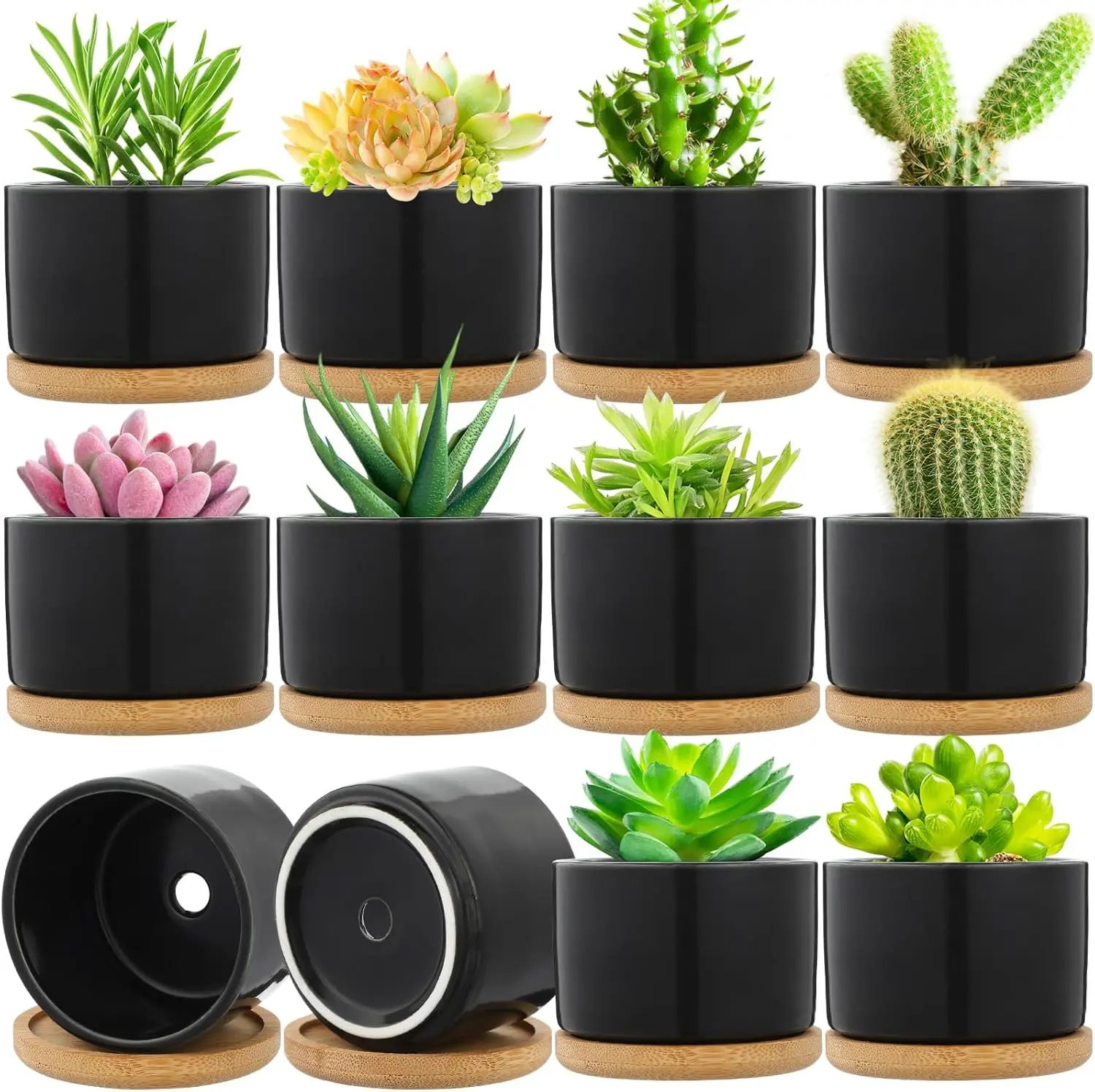 

12 Sets Succulent Plant Pot Ceramic Succulent Pots Container Cactus Pots with Bamboo Tray Small Cylinder Flower Plant Po
