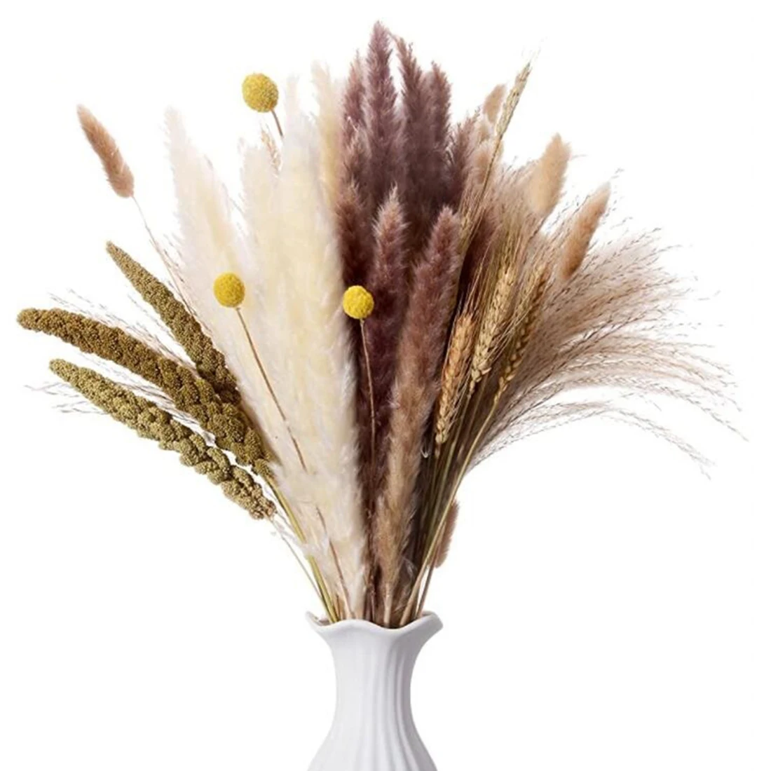 75Pcs Natural Dried Pampas Grass Decor,17 inch Reed&Bunny Tails&Wheat Sheaves&Billy Ball&Millet Grain,for Wedding Boho