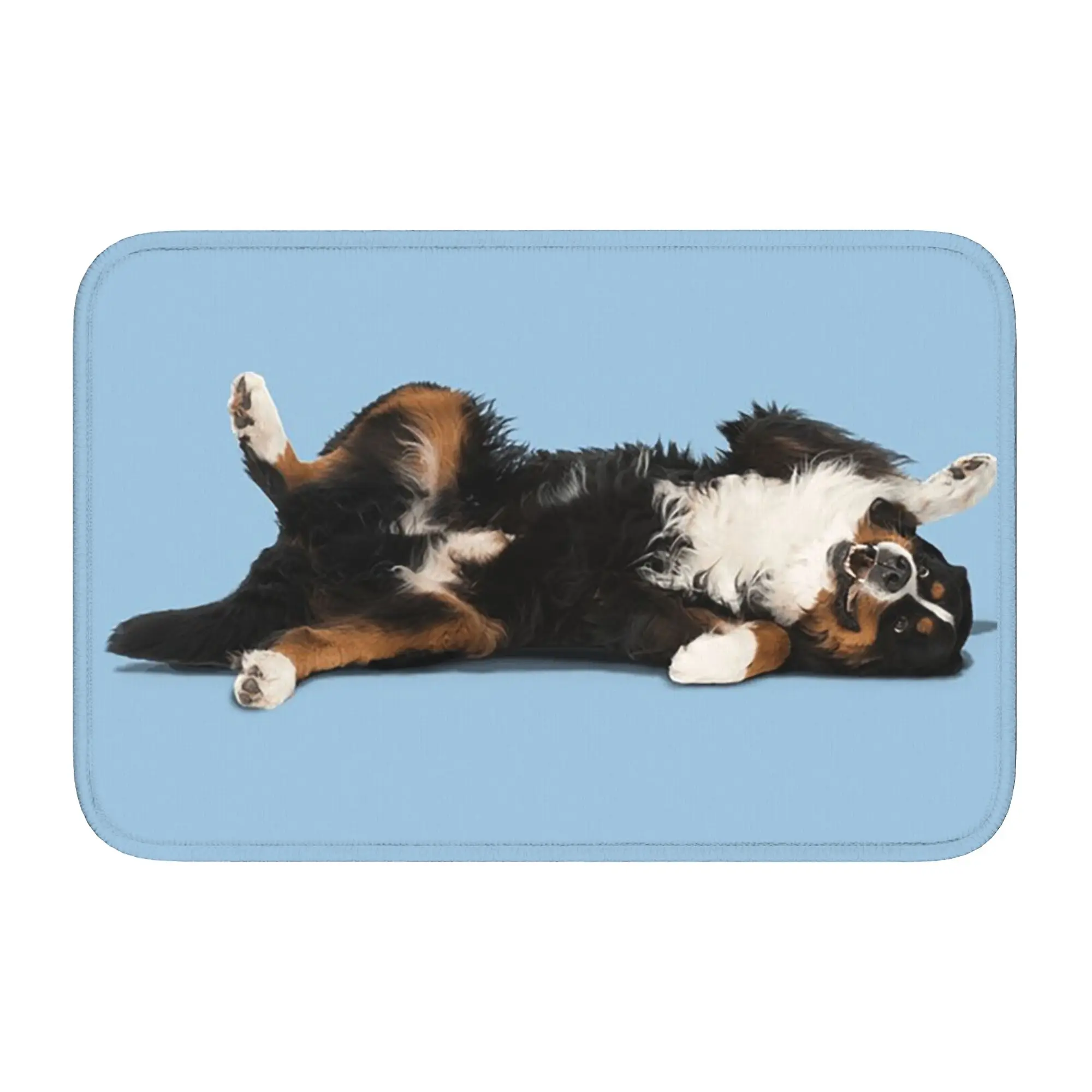 Bernese Mountain Dog Doormat Dust-proo Carpet Rug Kitchen Entrance Home Floor Mat for Bedroom Footpad Mats