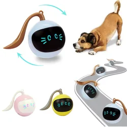 Auto Interactive Dog Ball Toys Electric USB Rechargeable Self Rotating Indoor Teaser Selfplay Exercise Toys for Dog Puppy Pet