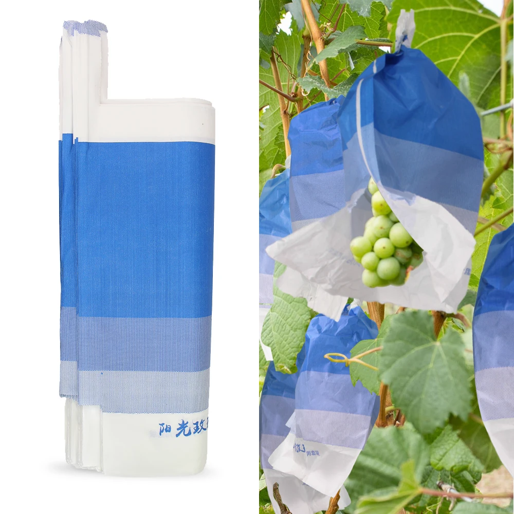 Orchard Grape Protection Bags Tricolor Paper Anti-Pird Pest Control for Fruits Cultivating Grow Protect Cover Wodoodporne woreczki