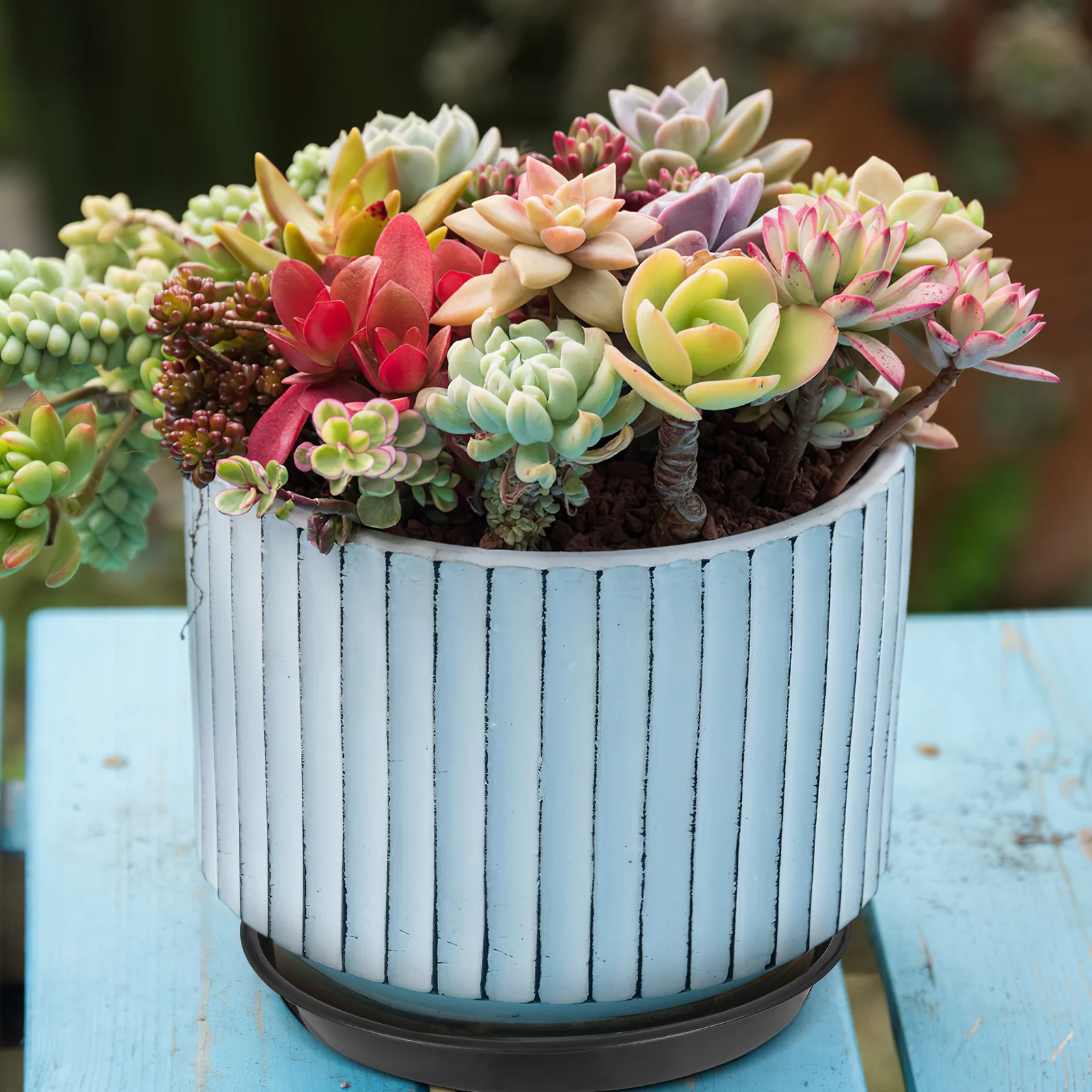 

10 pcs Flowerpot Trays Black Stackable Water Resistant Planter Bottom Pads Drainage Base for UsePB250