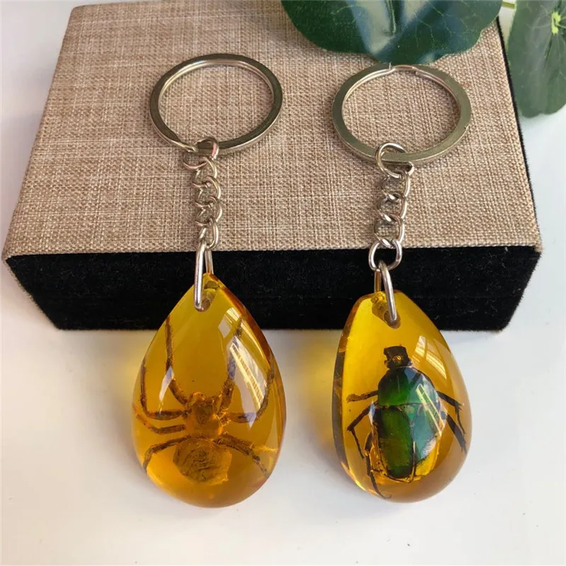 Real Insect Specimens Amber Pendant Keychain Wholesale Accessories Custom Car Keychains