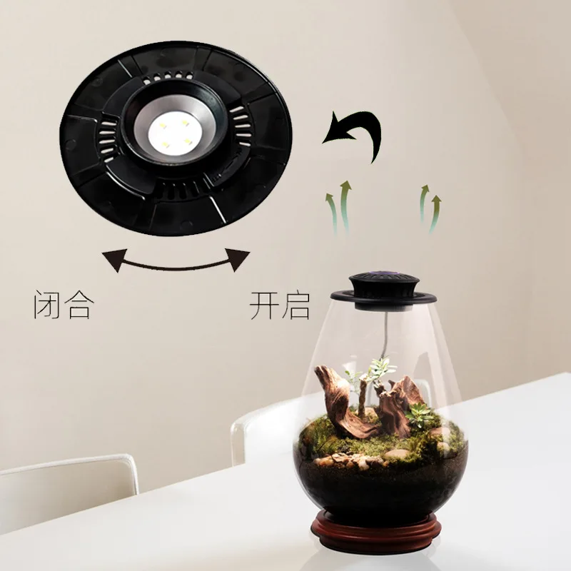 Plant Light Micro Landscape Fill Light Moss Ecological Bottle Plant Growth Creative Tree of Life Light Fast Delivery