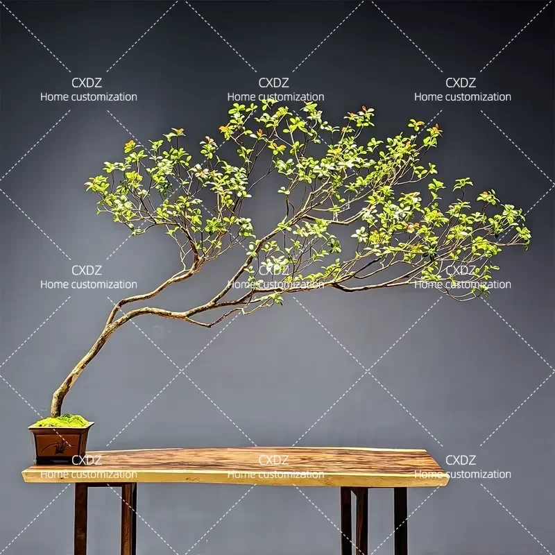 Simulation green plant bonsai island spring flower interior decoration tree living room office desktop Chinese zen advanced