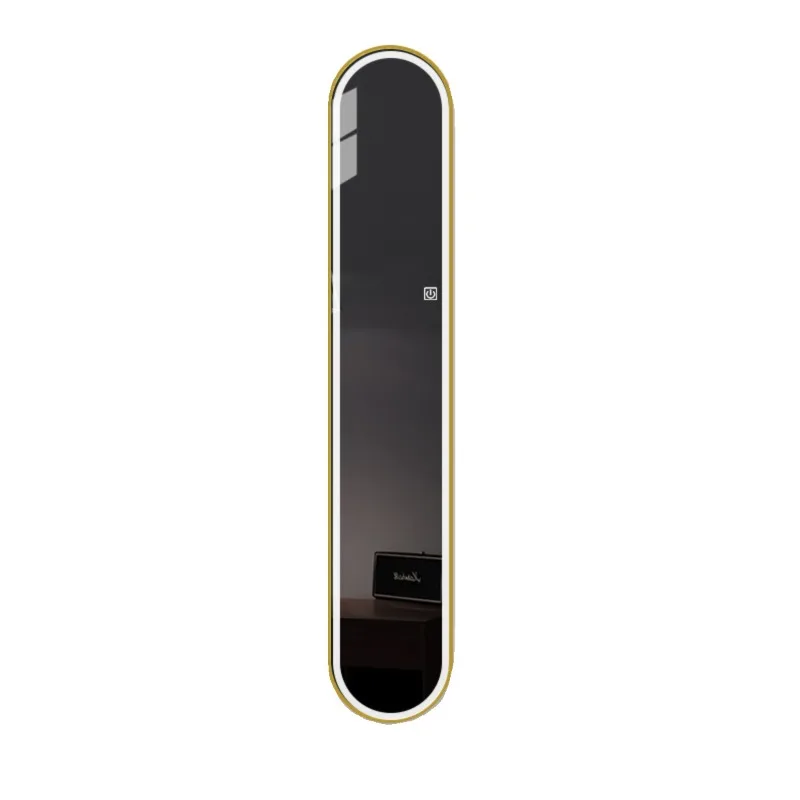 

Light luxury small size, full-body mirror, full-length mirror, smart light, entrance decoration