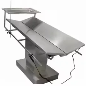 Electric Veterinary Surgical Instruments Veterinary Station Level II CE Certified 2-Year Warranty for use in pet hospitals