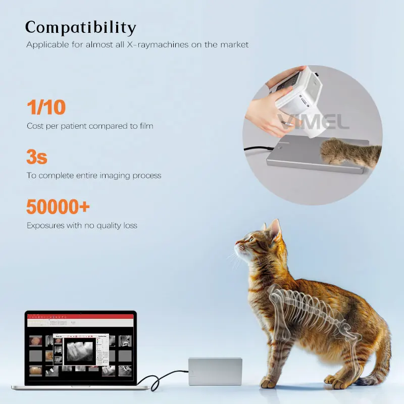 New Handy PET Animal Digital Dental X-Ray Sensor  Imaging System USB Intra Oral RVG Sensor