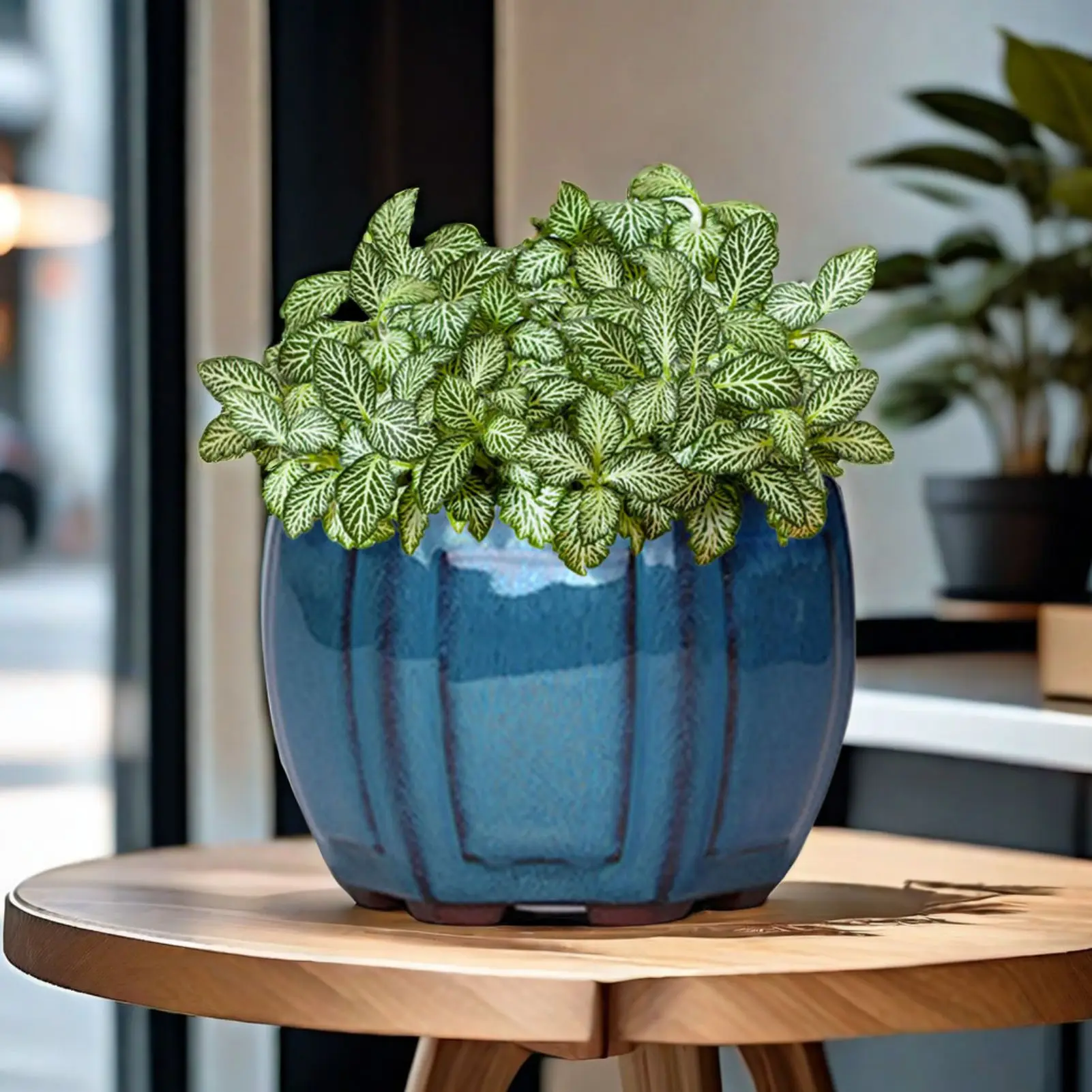 Thumbnail 2 - #47 Highest Rated Outdoor Planter Boxes to Buy in 2026