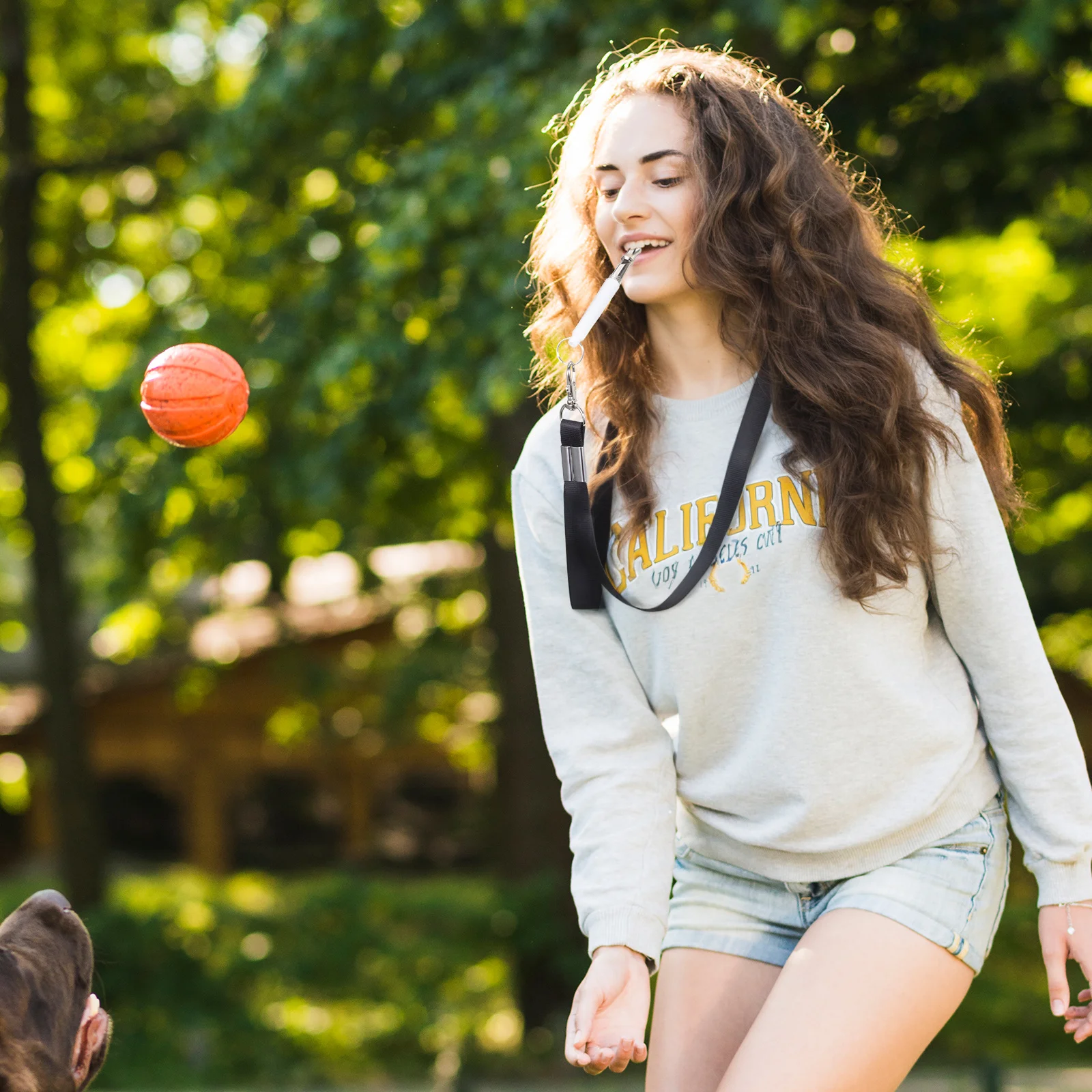 

2Pcs Dog Whistle Ultrasonic Durable Training Tool for Obedience Fast Recall Puppy Stop Barking Sound Lanyard Dog Whistle