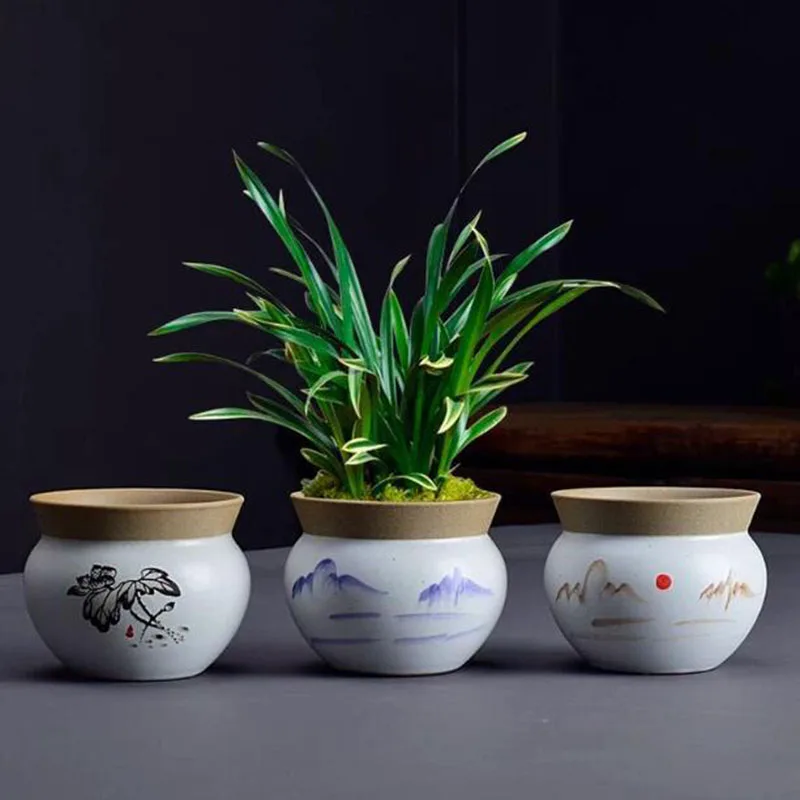 Creative Desktop Asparagus Fern Plant Pot Handpainted Flowerpot Bonsai Vase Gardening Planter Home Decor