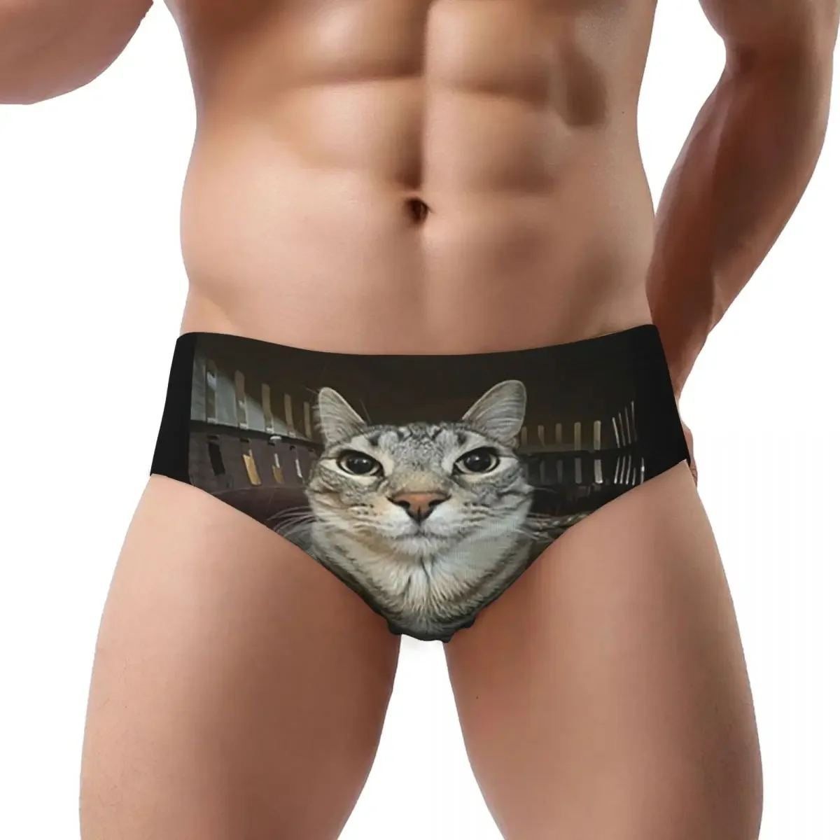 Cat Looking Directly At You Men's Triangle Panties Breathable Boxer Underpants Short Underwear for Homme Man Boyfriend Gift