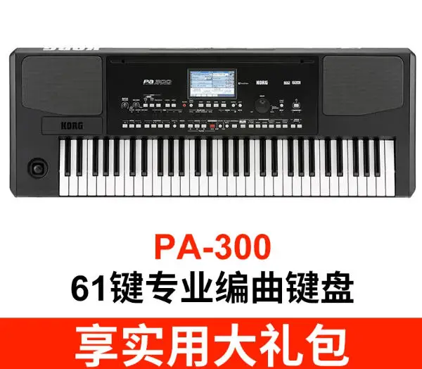 PA-300 61 key professional arrangement keyboard (including gift package)