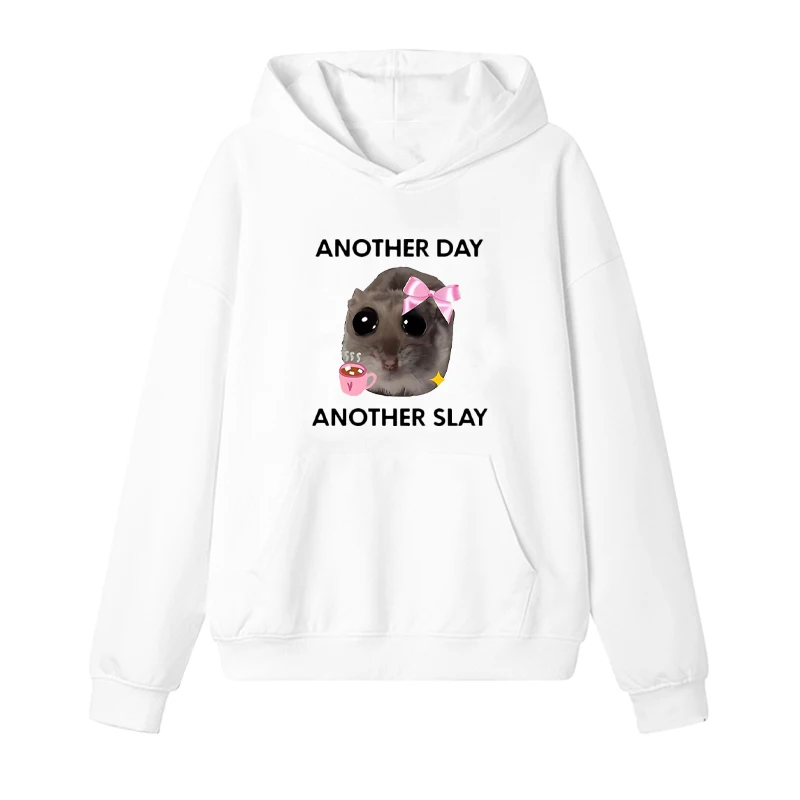 ANOTHER DAY ANOTHER SLAY Funny hamster Meme printed Hoodie Men women Harajuku fashion Fleece pullover Long sleeve streetwear