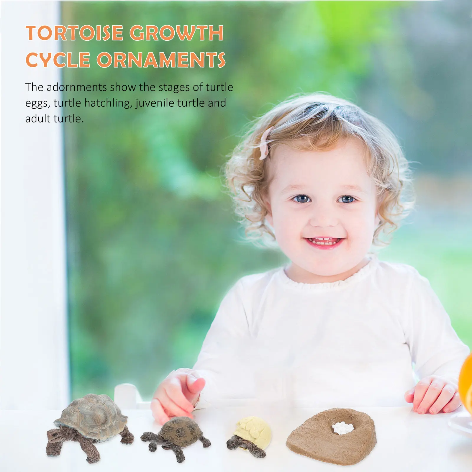 

4Pcs Tortoise Growth Cycle Ornaments High Quality PVC Home Office Kids Educational Decoration Animals Life Cycle