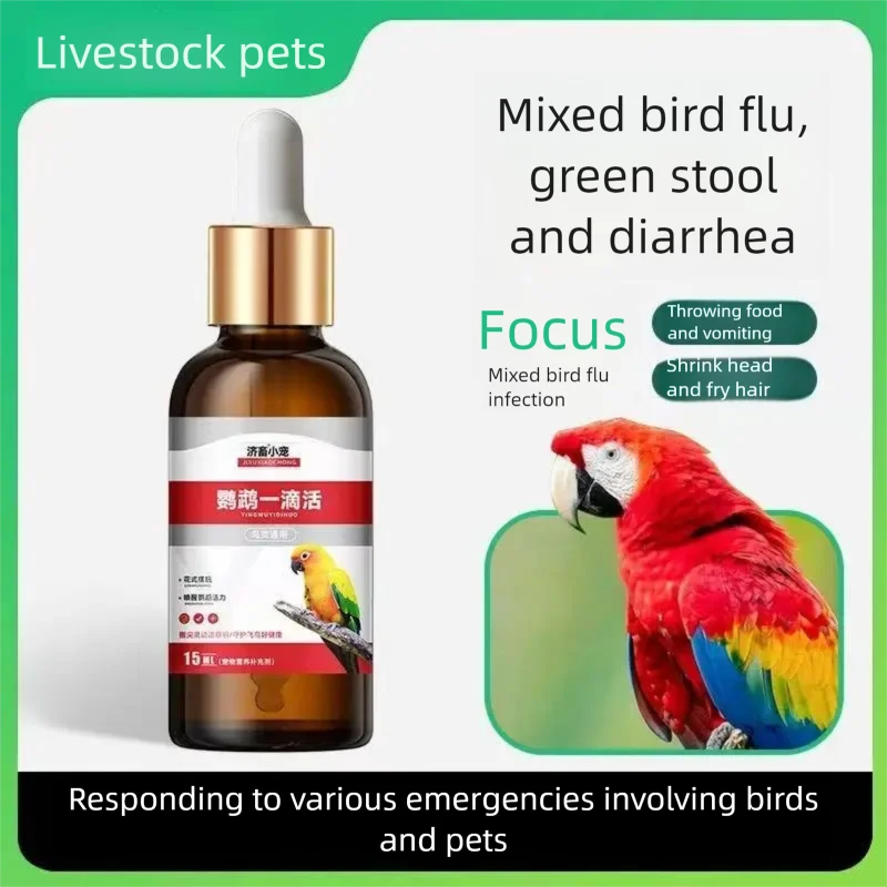 Parrots do not eat, diarrhea, water green, vomit, shrink their heads, explode their feathers, throw food, vomit