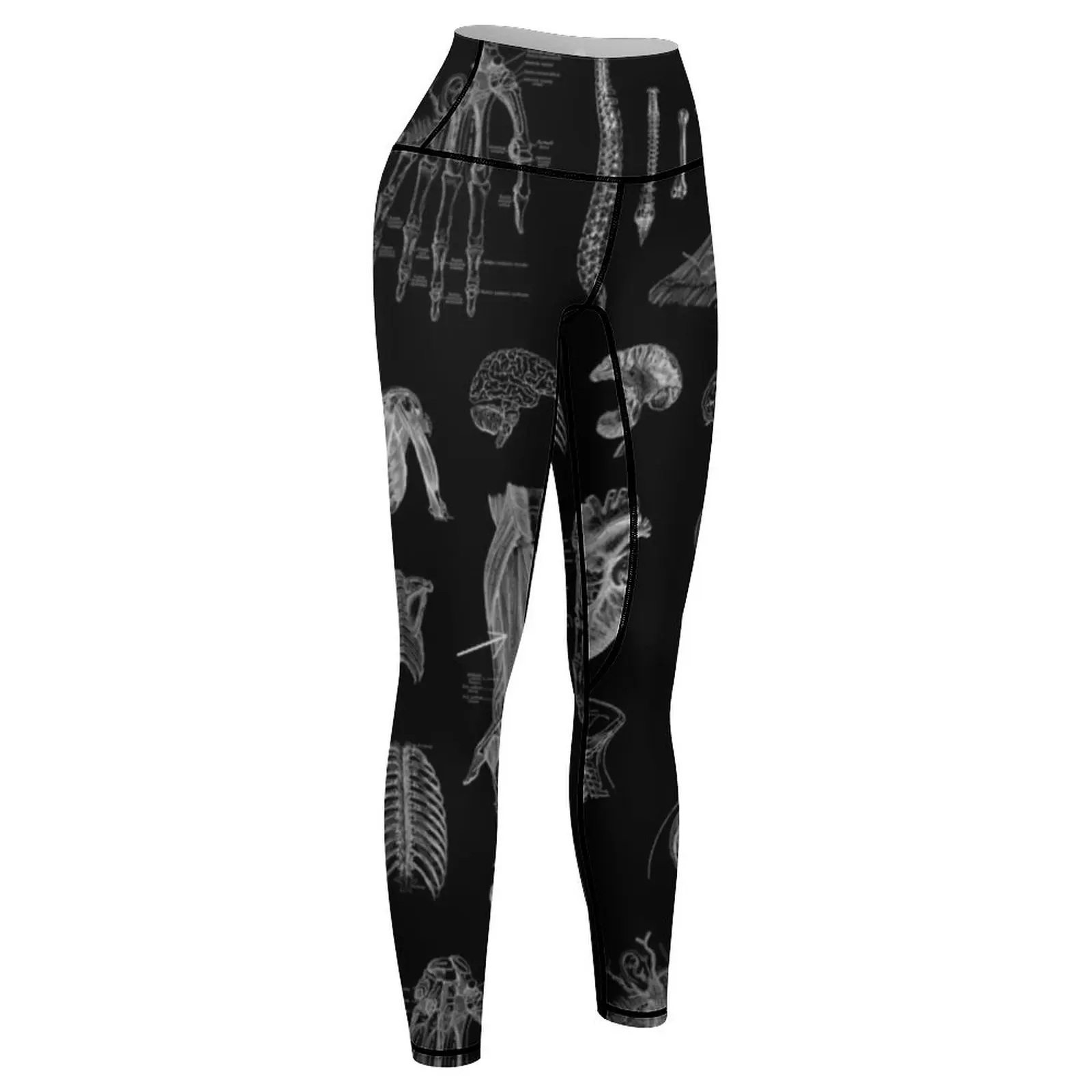 Vintage Anatomy Print Leggings high waist legging gym Womens Leggings