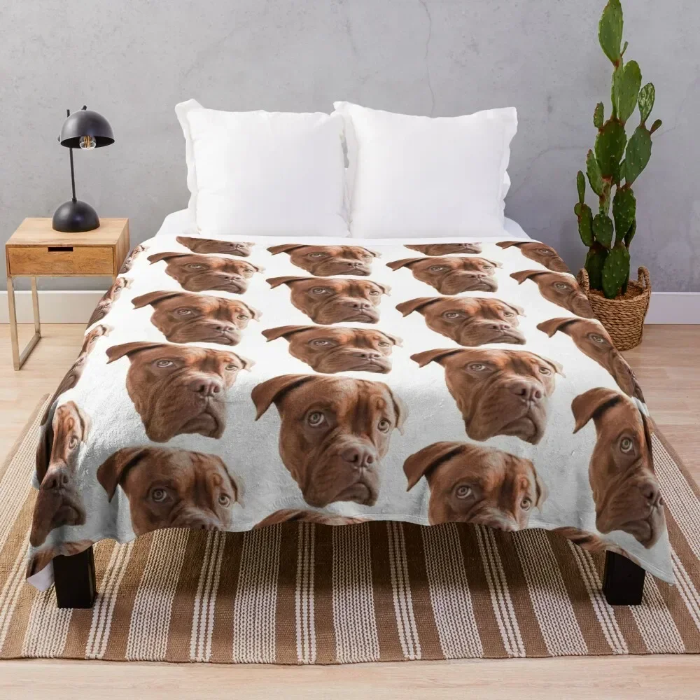 

Melancholic Dogue de Bordeaux Throw Blanket Thins Polar Blankets