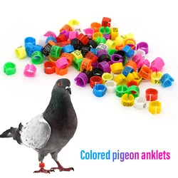 100Pcs New Pigeon Leg Rings Identify Dove Bands 8mm Plastic Parrot Clip Digital Foot Ring Pigeon Training Supply Bird Appliances